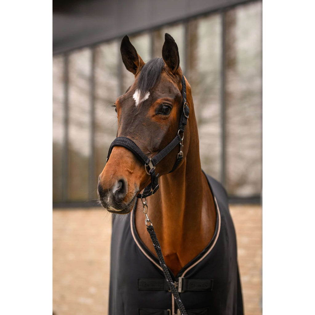 Cavallo Führstrick CavalRey mit Karabinerhaken Schwarz
