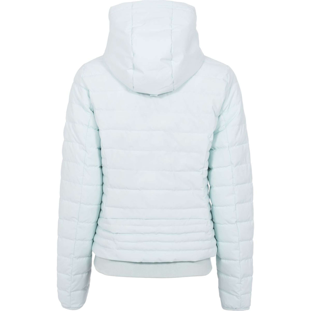 Cavallo Jack CavalBena Crystal Blue