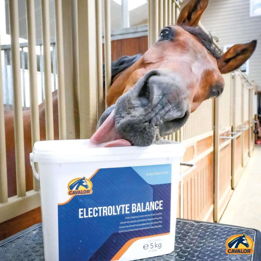 Cavalor Electolyte Balance