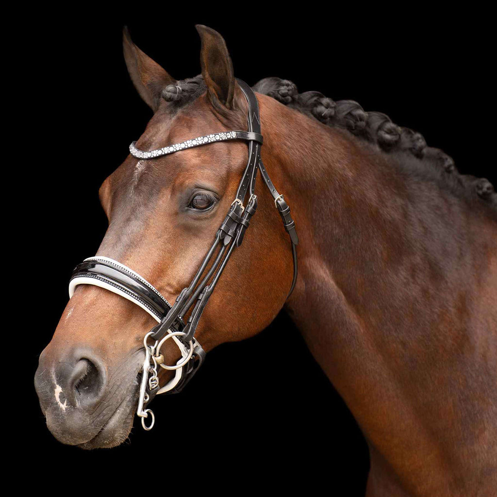 Imperial Riding Kandarenzaum IRHOlympia Schwarz/Weiß