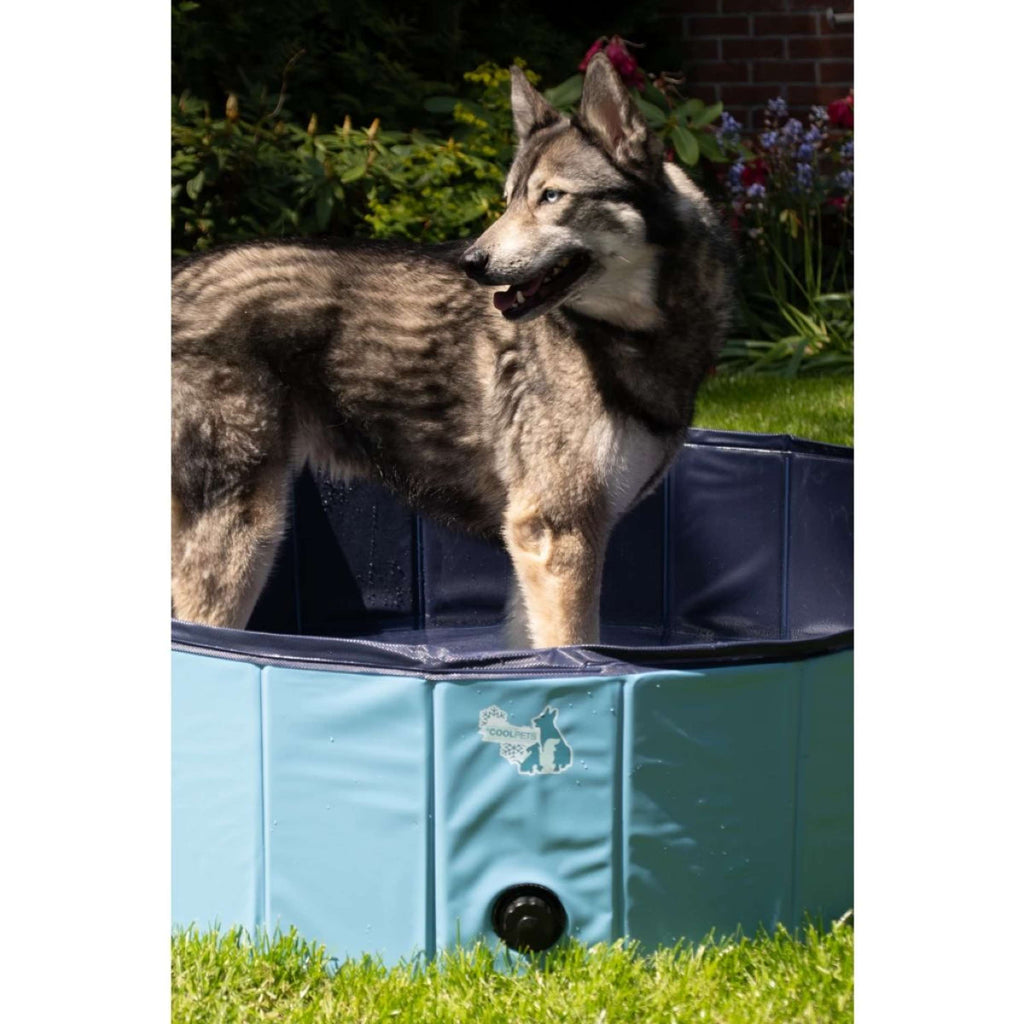 Coolpets Schwimmbad