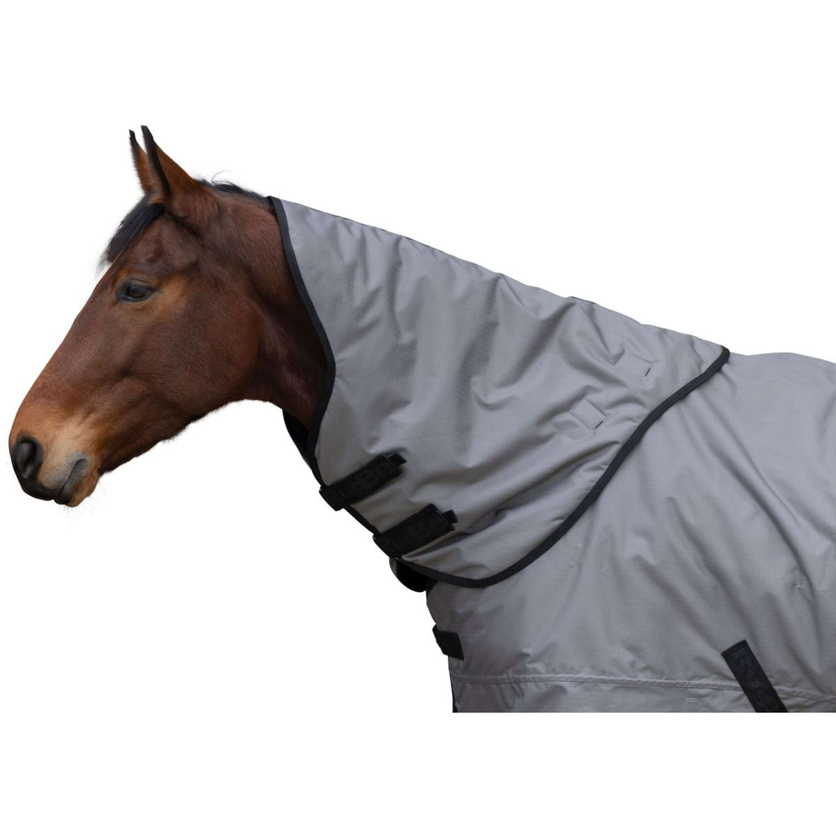 RugBe by Covalliero Halsstück AW25 200g Steel Grey