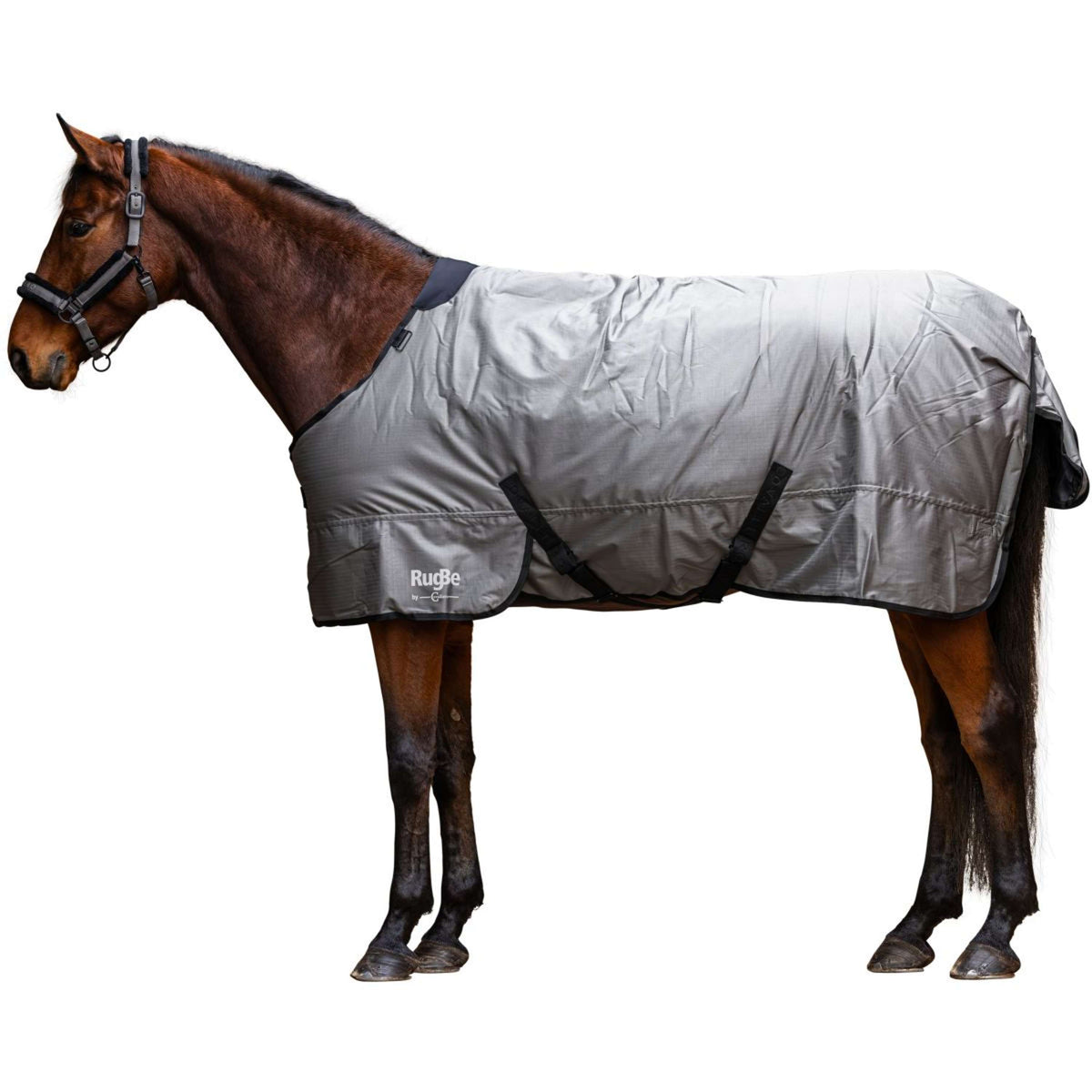 RugBe by Covalliero Winterdecke AW25 300g Steel Grey