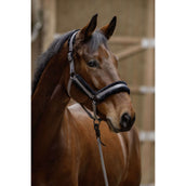 Covalliero Halfter AW25 Steel Grey