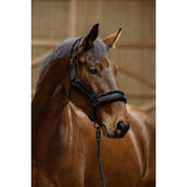 Covalliero Halfter AW25 Schwarz