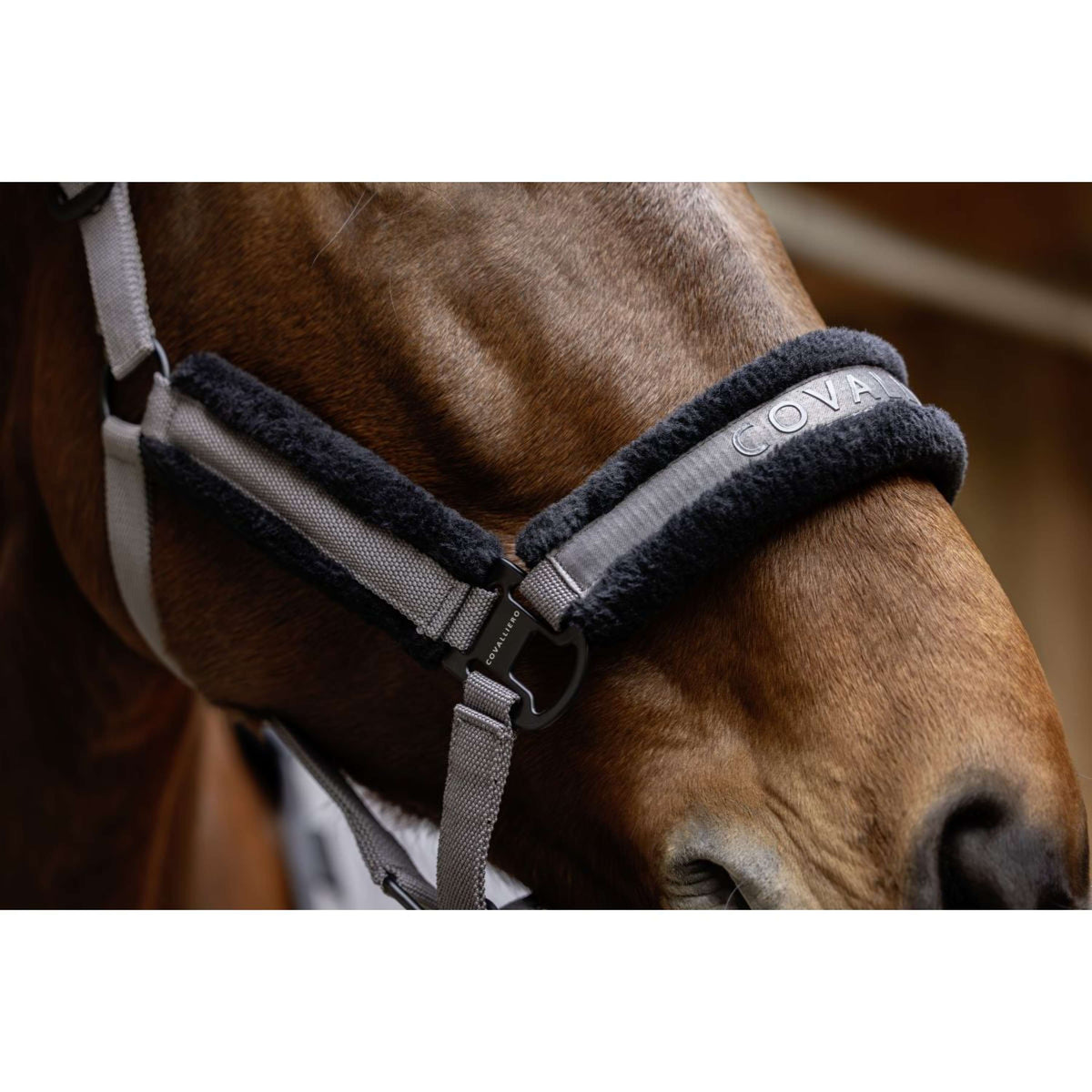 Covalliero Halfter AW25 Steel Grey