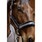 Covalliero Halfter AW25 Steel Grey