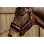 Covalliero Halfter AW25 Rostbraun