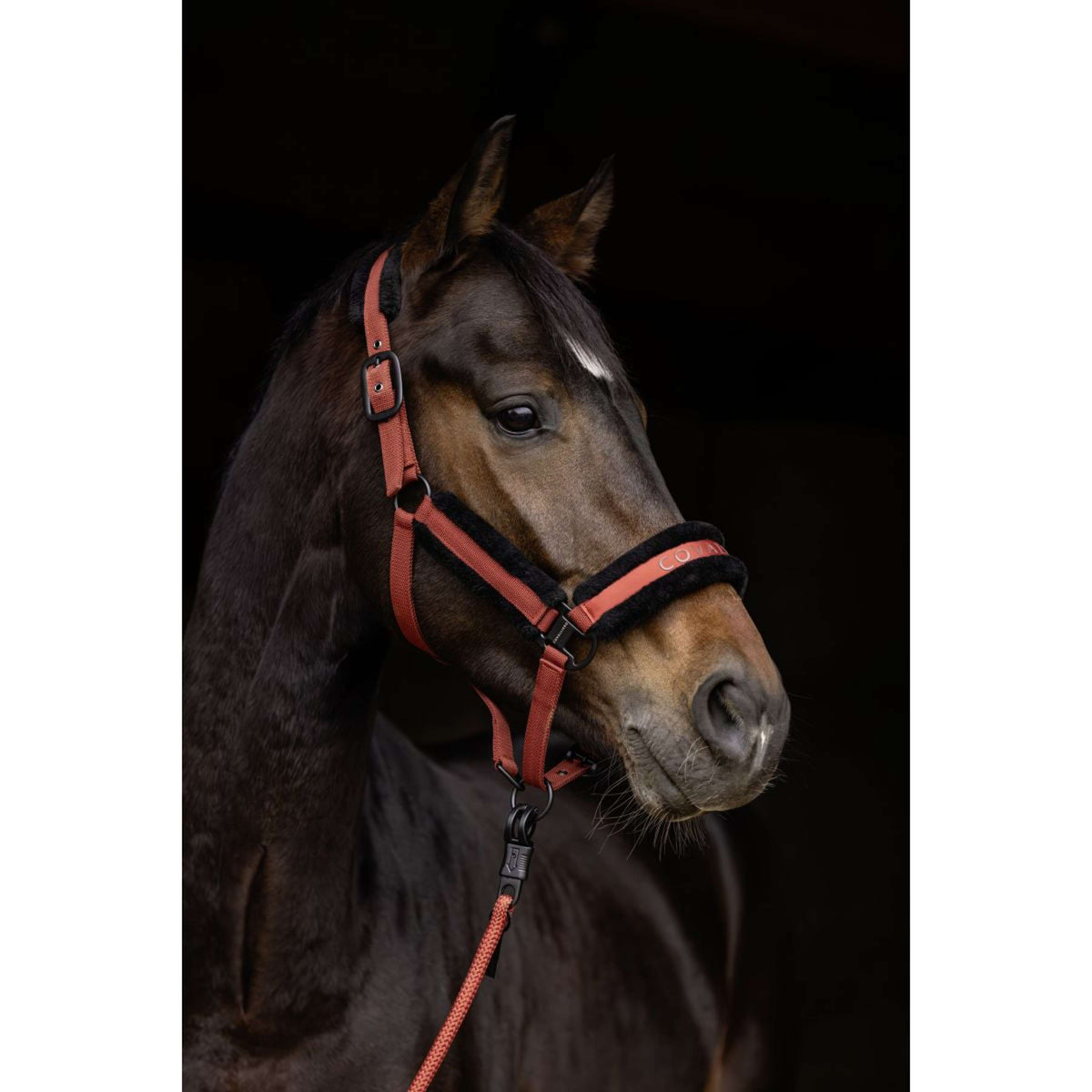 Covalliero Halfter AW25 Rostbraun