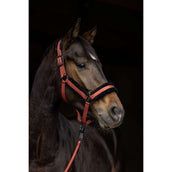 Covalliero Halfter AW25 Rostbraun