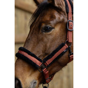 Covalliero Halfter AW25 Rostbraun