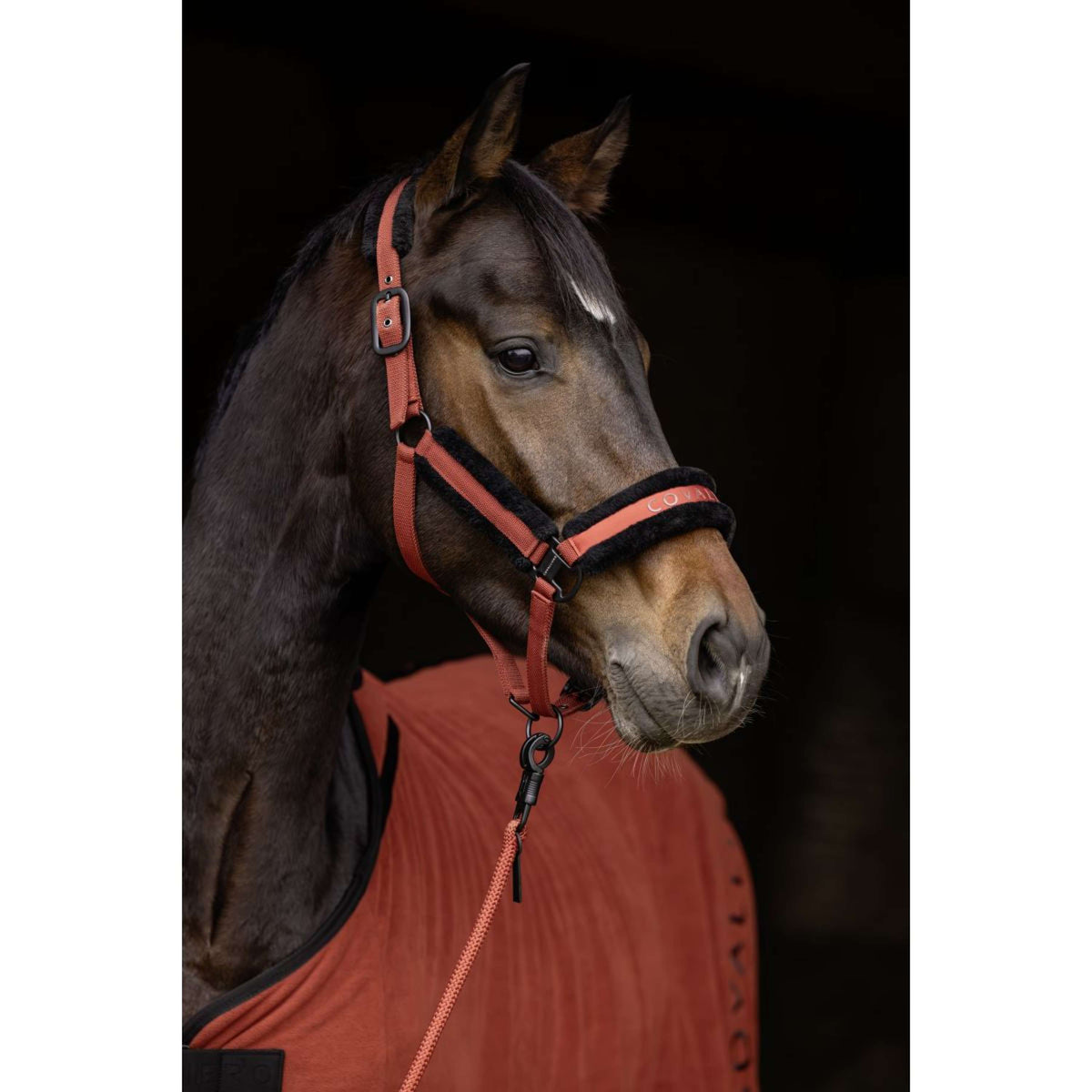 Covalliero Halfter AW25 Rostbraun