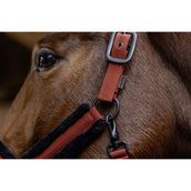 Covalliero Halfter AW25 Rostbraun