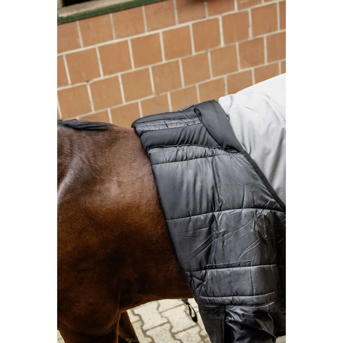 RugBe by Covalliero Winterdecke AW25 100g Steel Grey