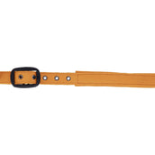 Covalliero Halfter AW26 Orange