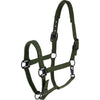 Covalliero Halfter AW26 Forest Green