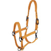 Covalliero Halfter AW26 Orange
