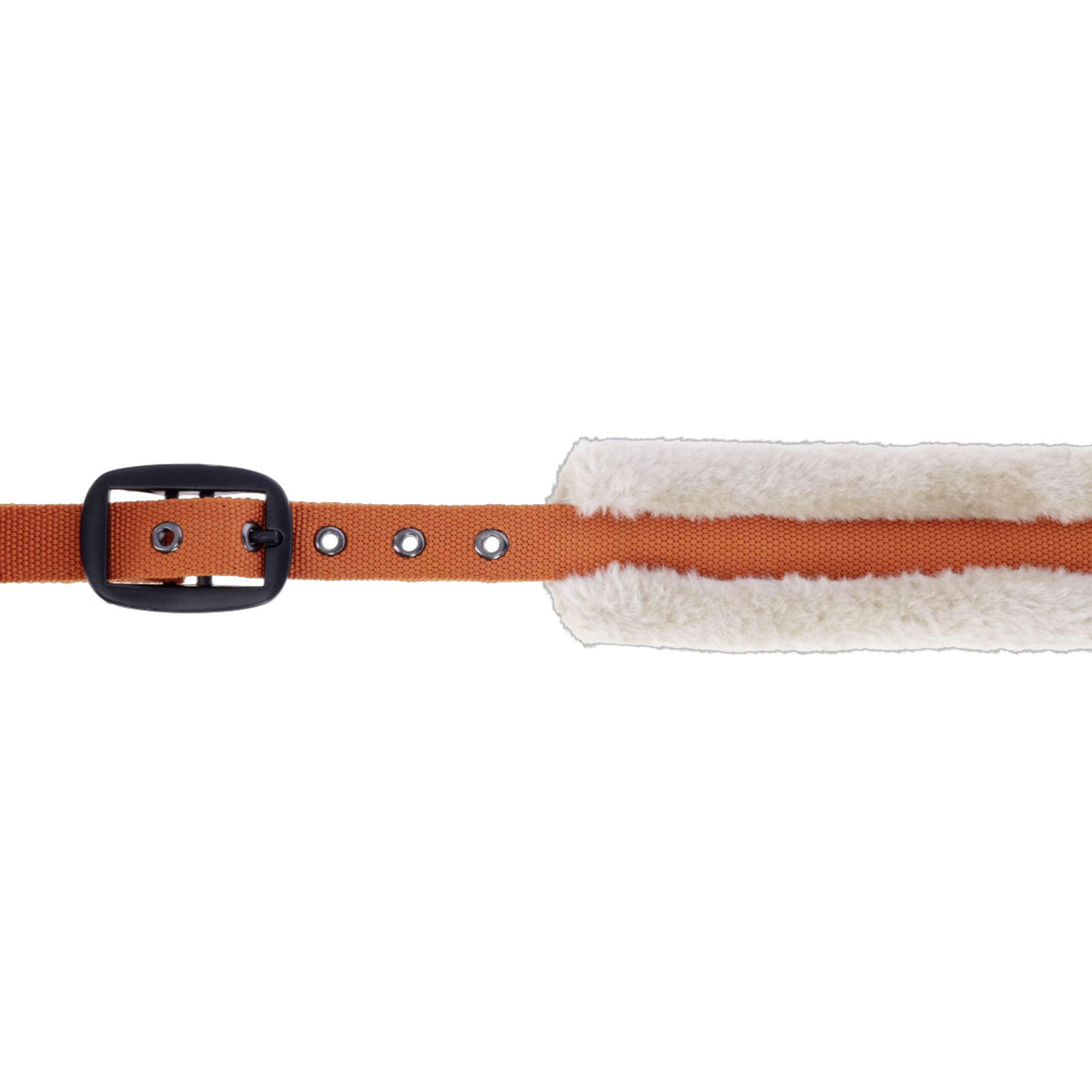 Covalliero Halfter Soft AW26 Orange