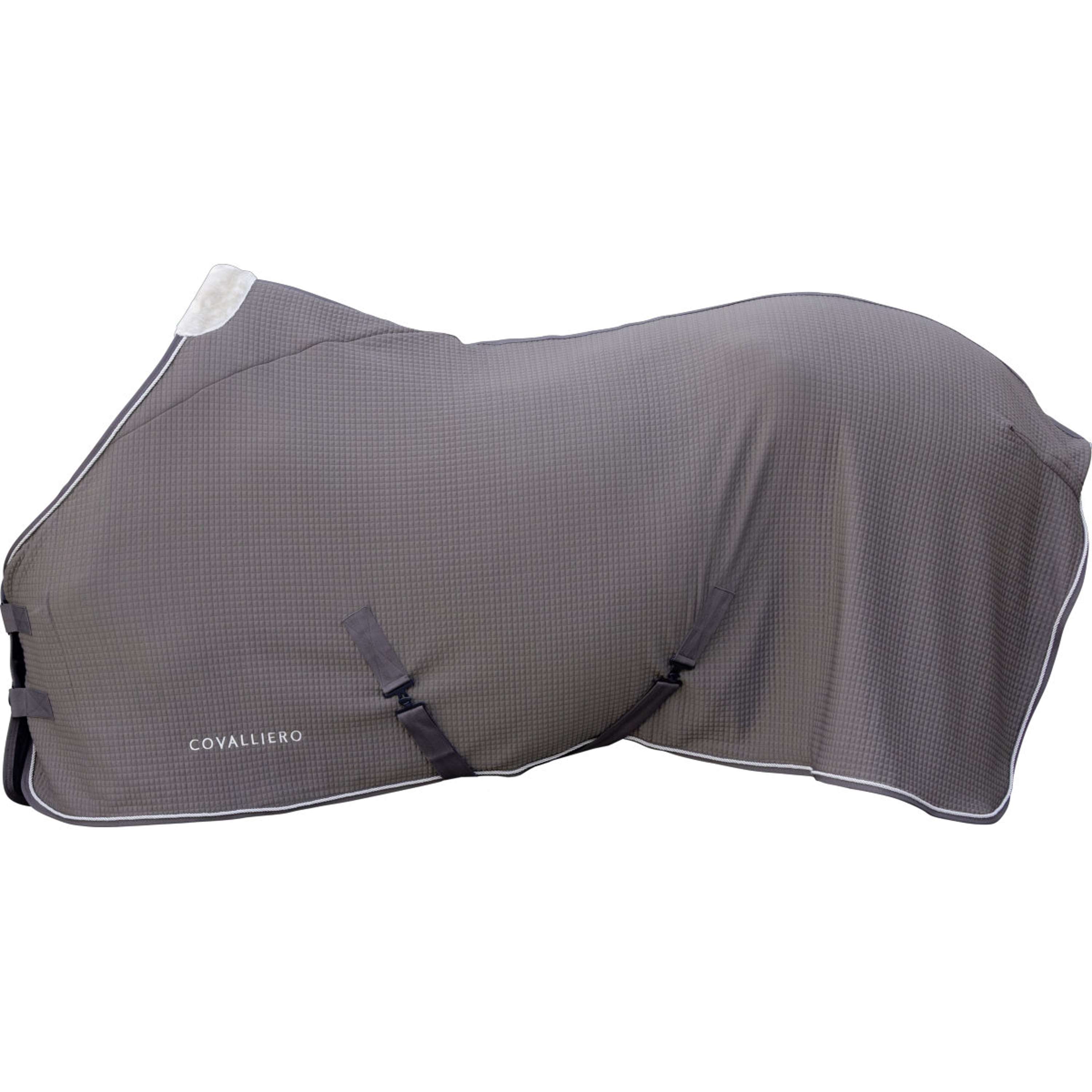 Covalliero Abschwitzdecke Premium AW26 Milky Chocolate
