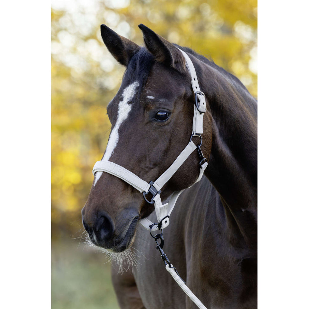 Covalliero Halfter AW26 Beige
