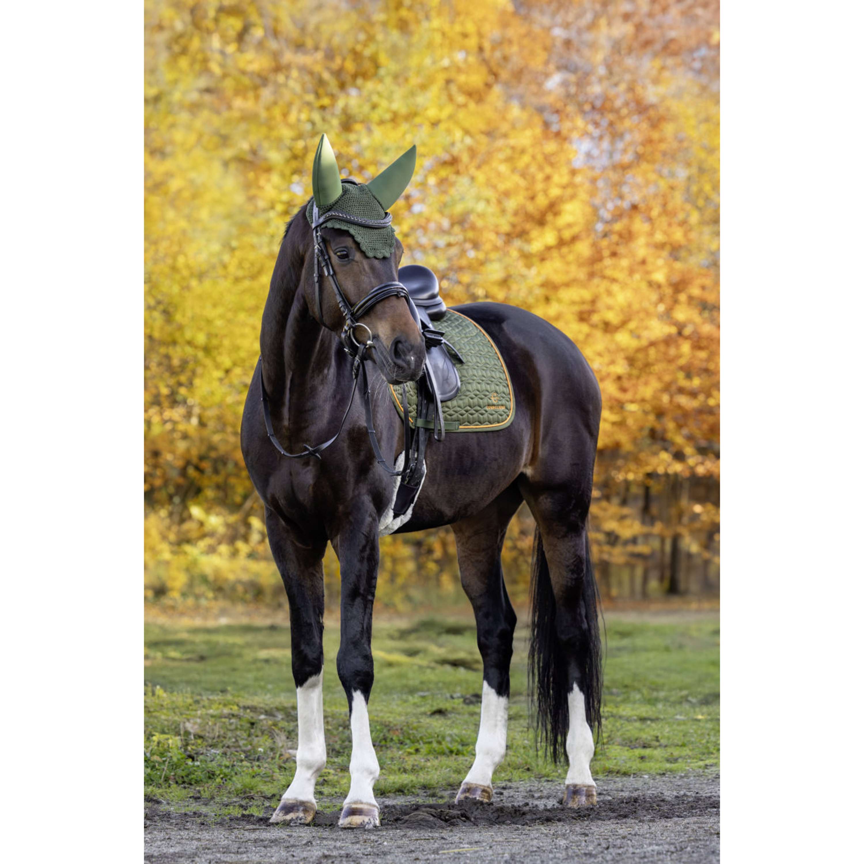 Covalliero Schabracke Soft AW26 Dressur Forest Green