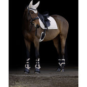Covalliero Schabracke AW26 Dressur Beige