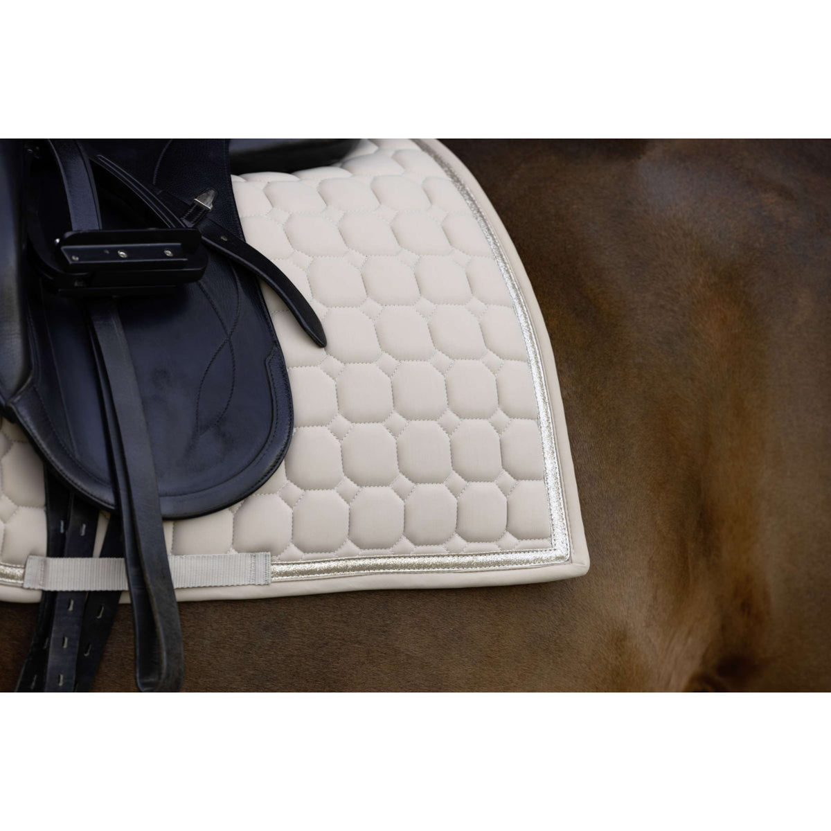 Covalliero Schabracke AW26 Dressur Beige