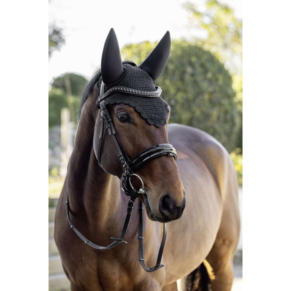 Covalliero Fliegenhaube Soundless AW26 Schwarz