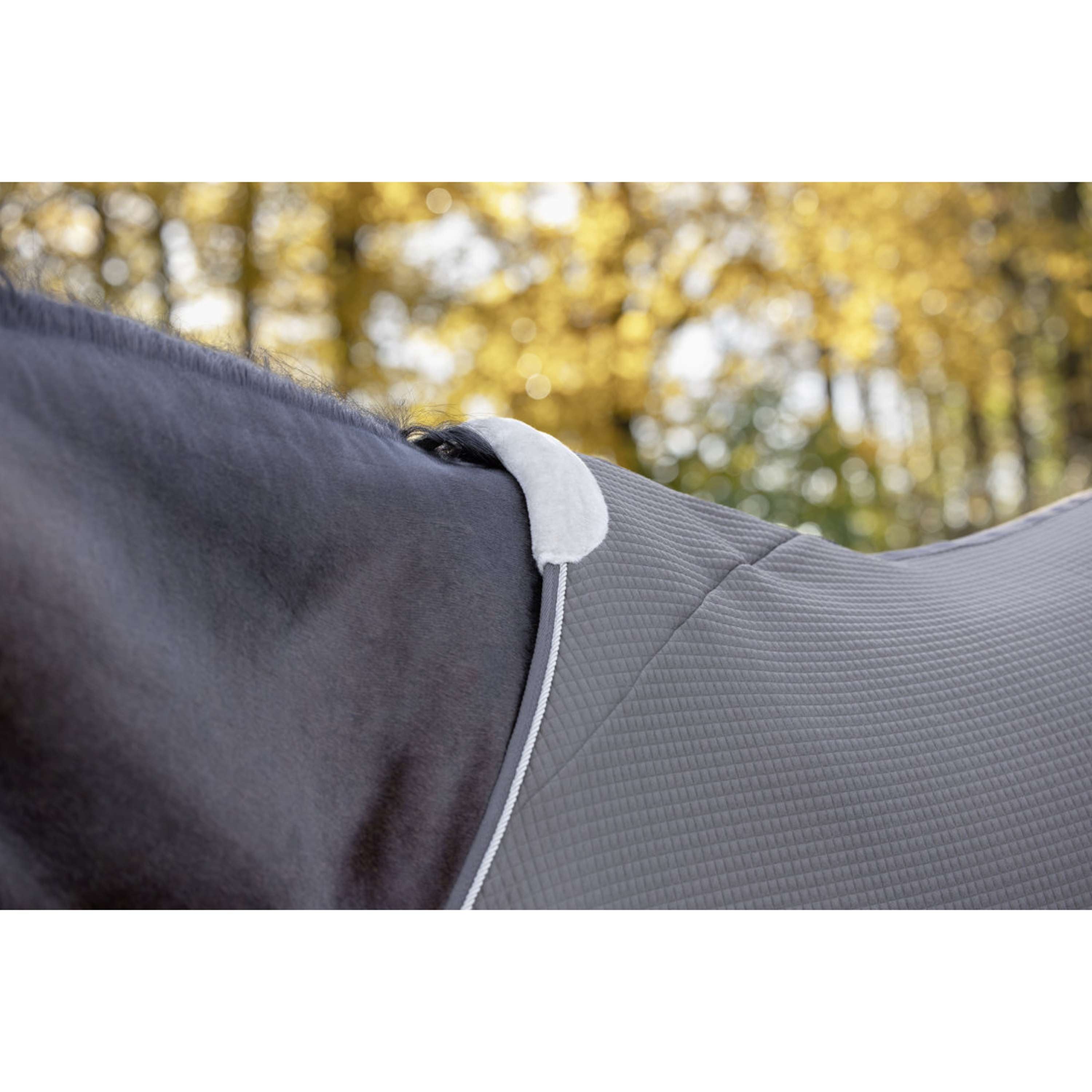 Covalliero Abschwitzdecke Premium AW26 Milky Chocolate