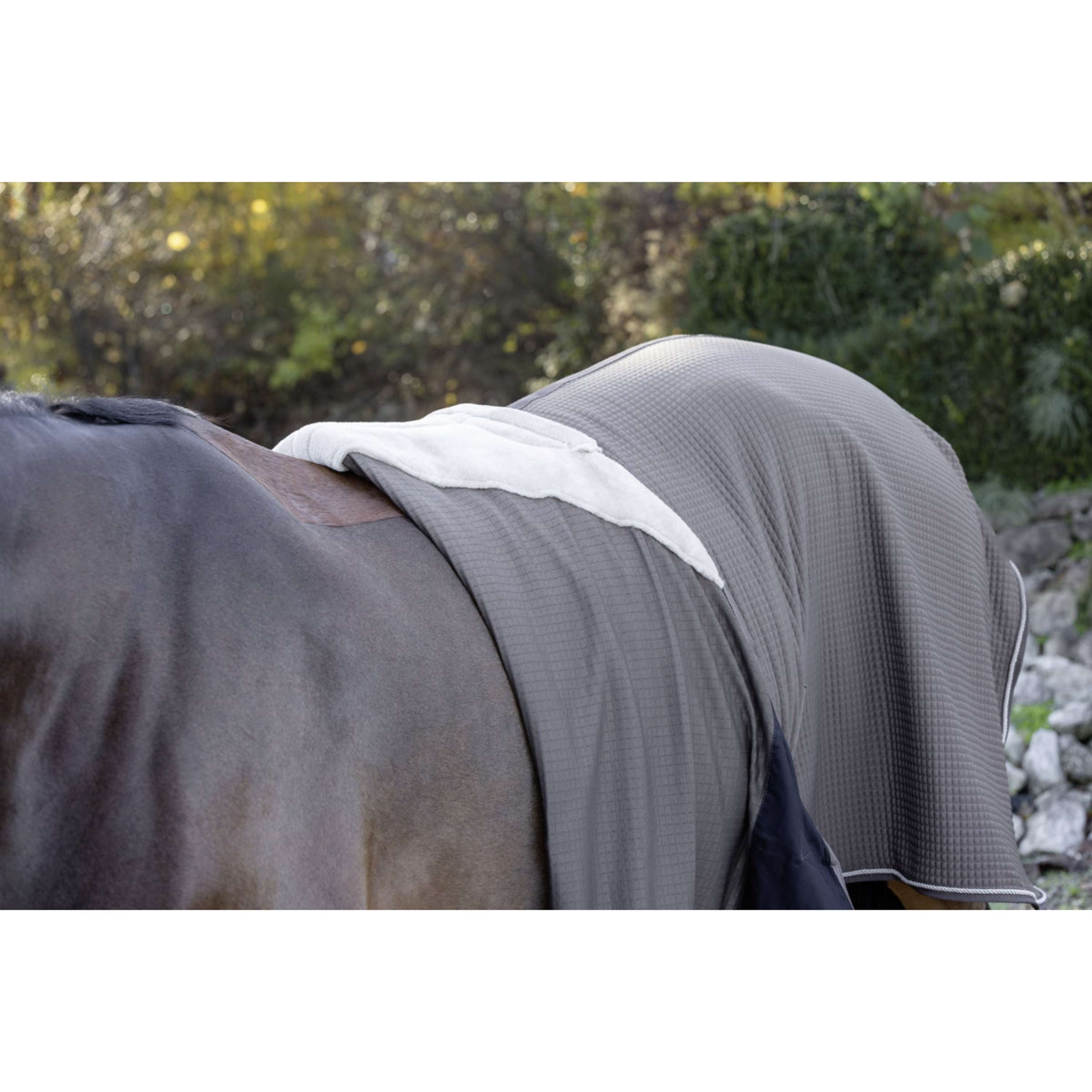 Covalliero Abschwitzdecke Premium AW26 Milky Chocolate