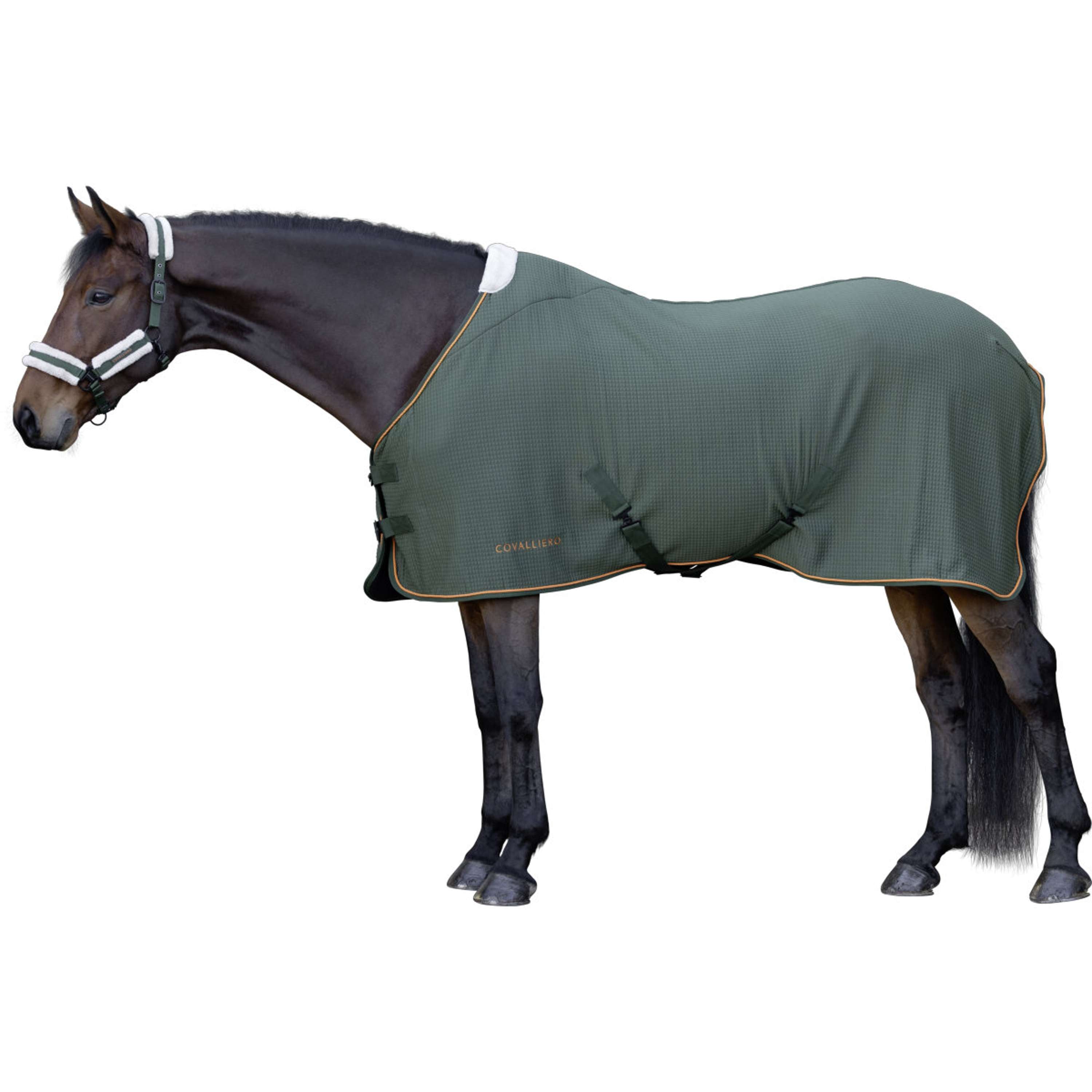 Covalliero Abschwitzdecke Premium AW26 Forest Green