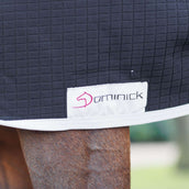 Dominick Thermo Rug Navy/Grau