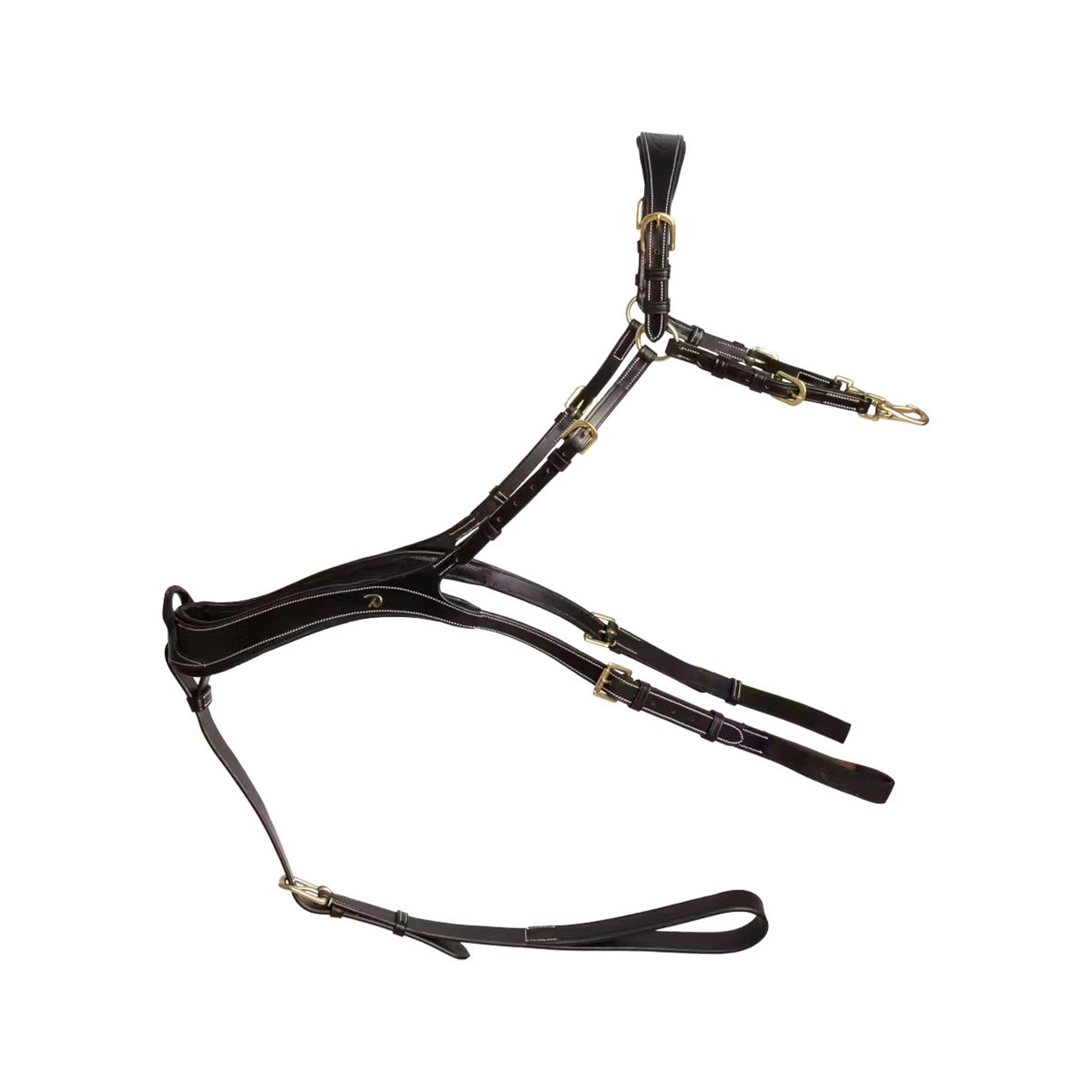 Dyon Brustgeschirr Anatomical Schwarz/Messing Dyon Brustgeschirr Anatomical Schwarz/Messing