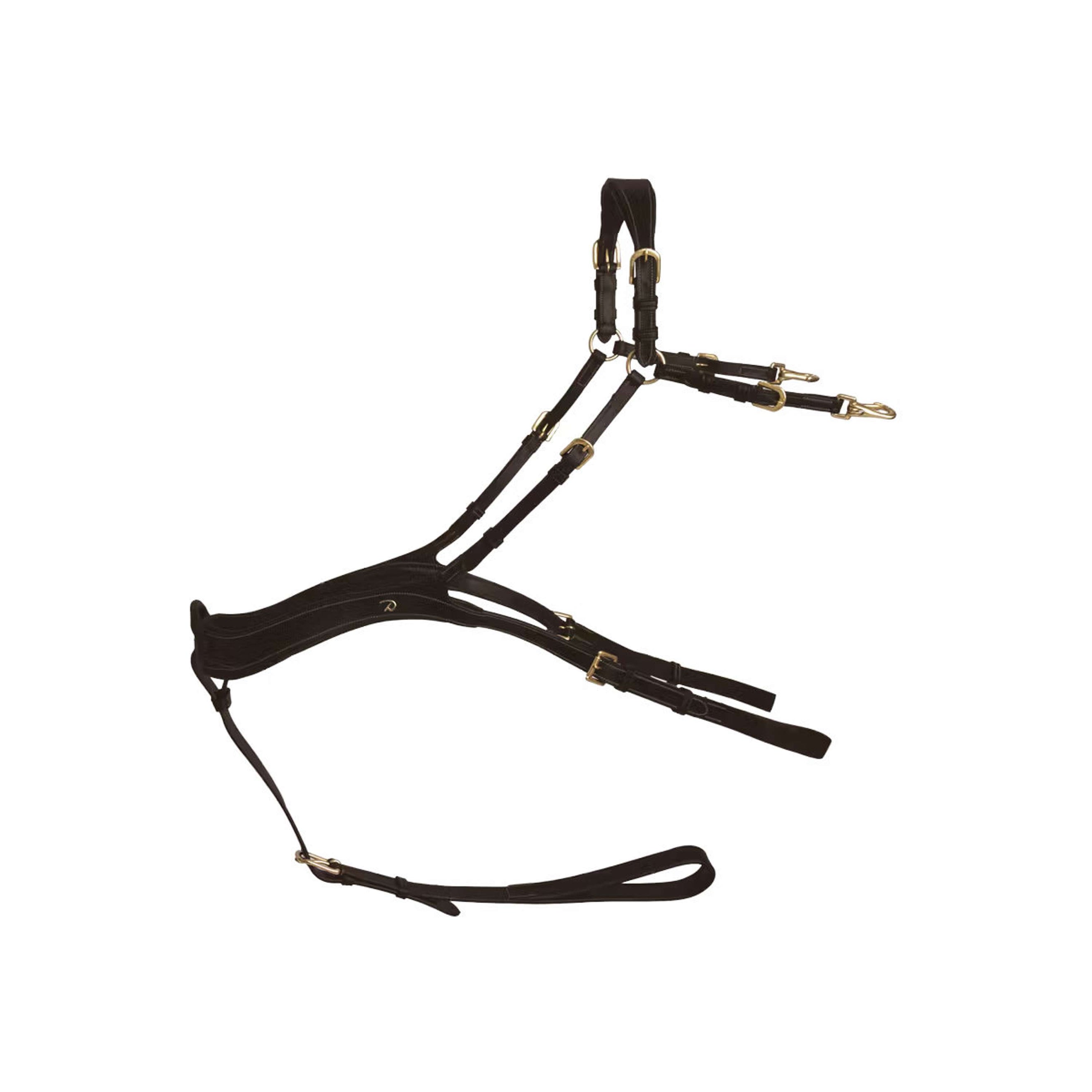 Dyon Brustgeschirr Anatomical Braun/Messing Dyon Brustgeschirr Anatomical Braun/Messing