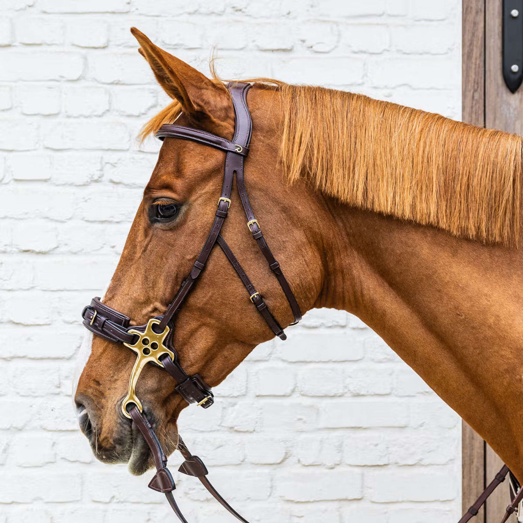 Dyon Zaum Hackamore Braun