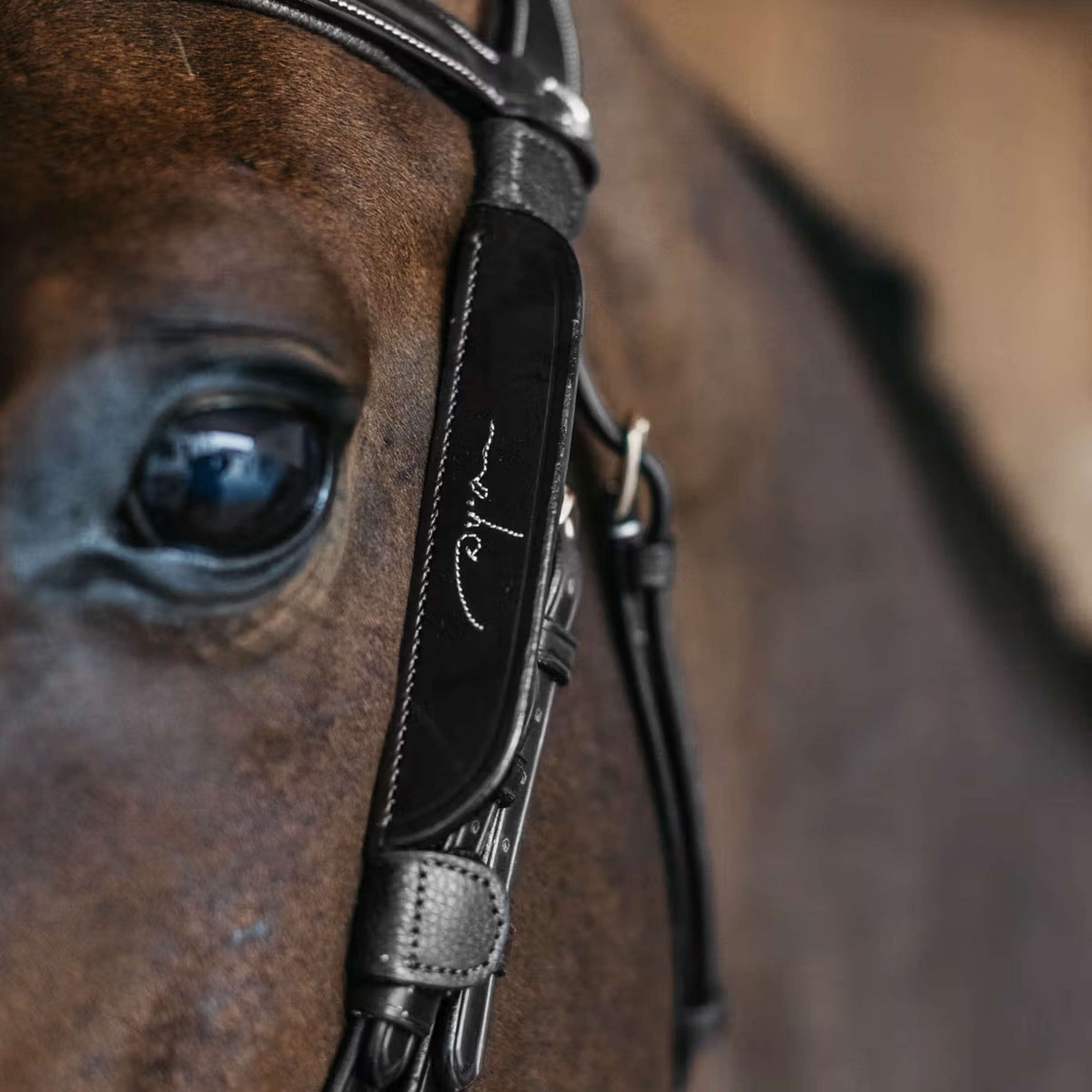 Dyon Blinkers Fancy Schwarz Dyon Blinkers Fancy Schwarz