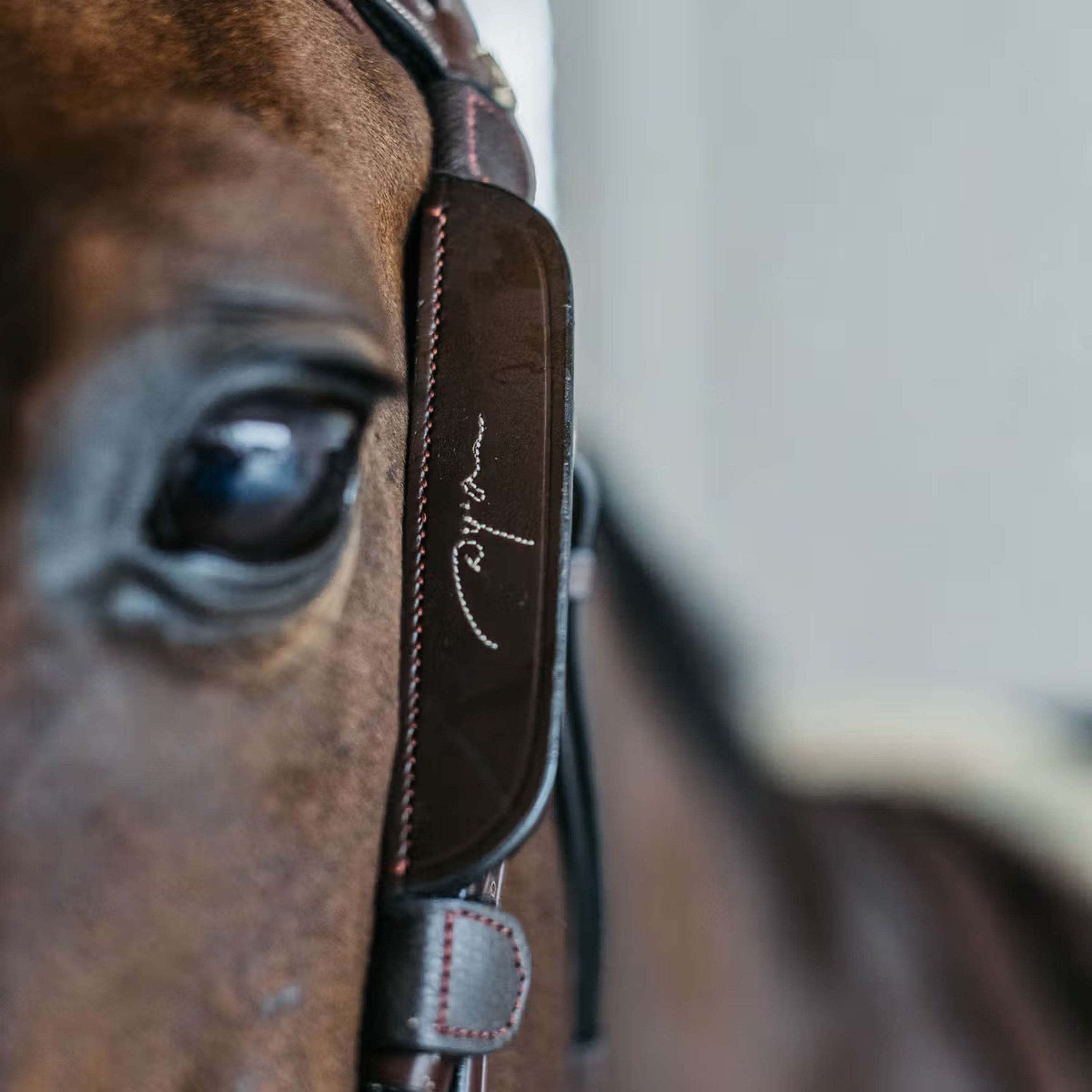Dyon Blinkers Fancy Braun Dyon Blinkers Fancy Braun