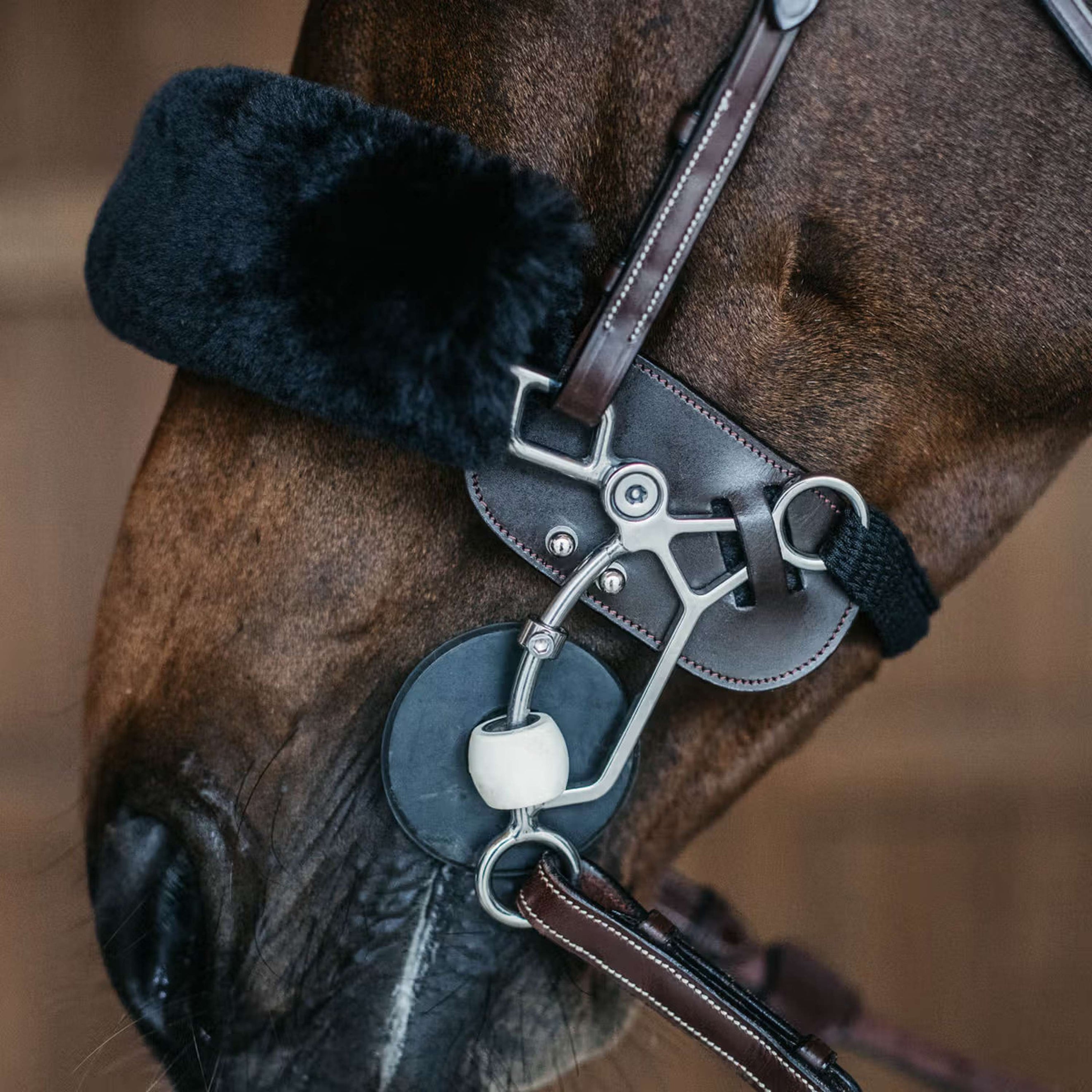 Dyon Hackamore-Schutz Braun Dyon Hackamore-Schutz Braun