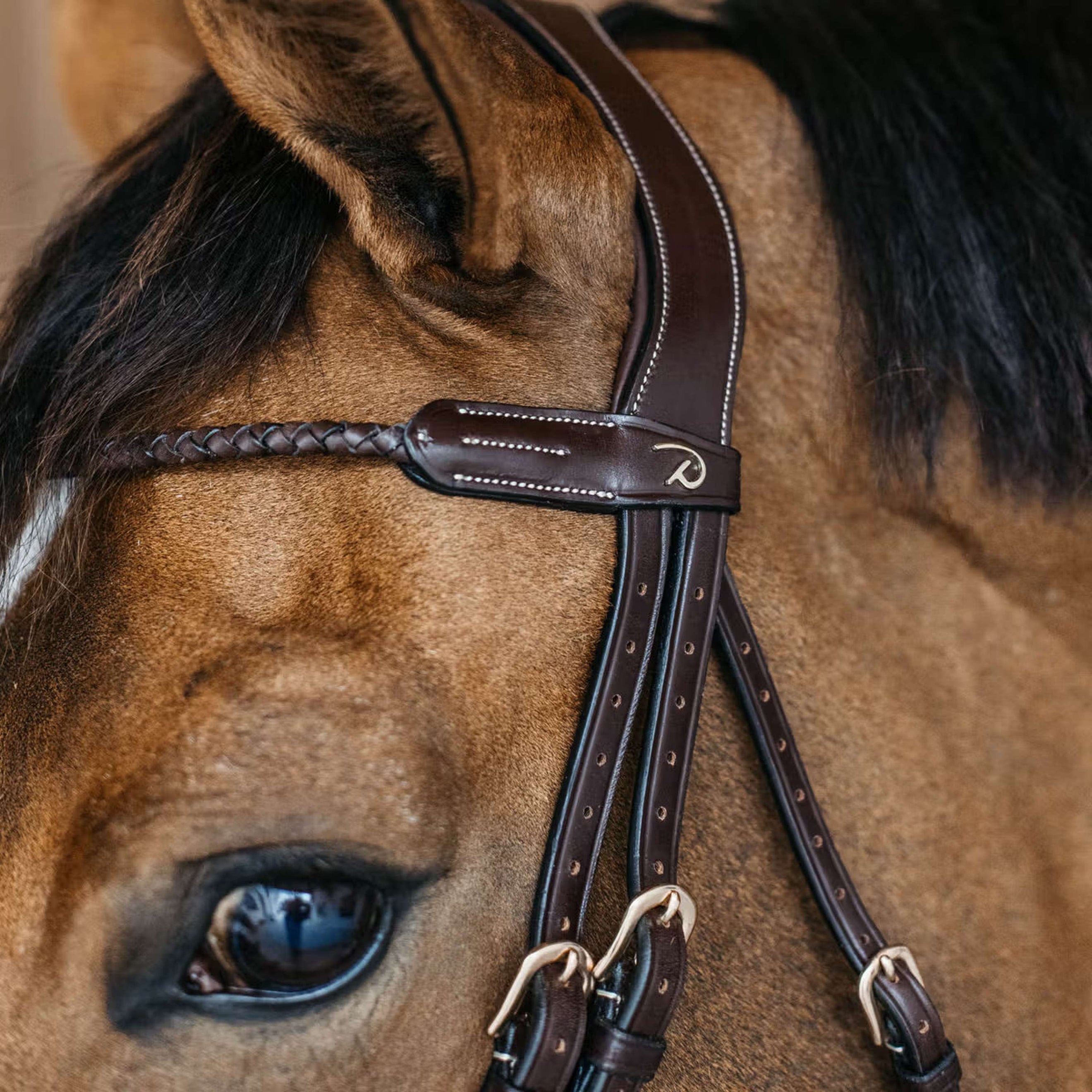Dyon Stirnriemen Braided Braun Dyon Stirnriemen Braided Braun