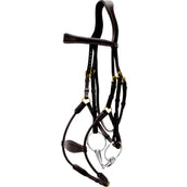 Dyon Zaum Elastic Hybrid Schwarz