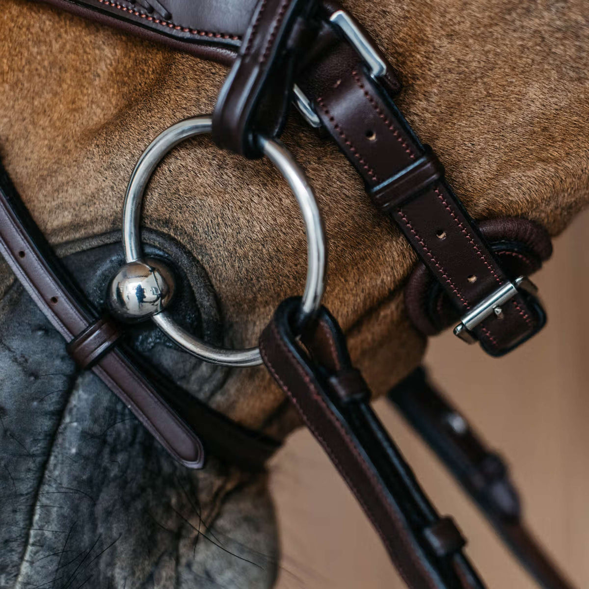 Dyon Reithalfter Flash Pull-Back Geflochten Braun