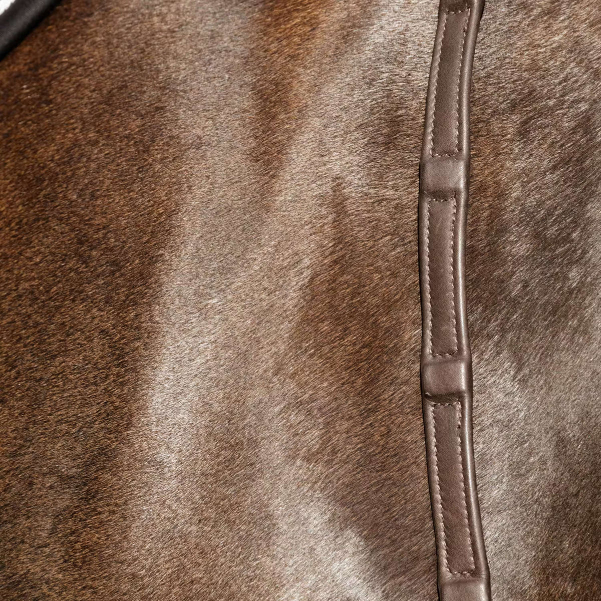 Dyon Zügel 1/2 8 Stops Soft Leder Braun