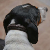 Dyon Halsband Geflochten Braun