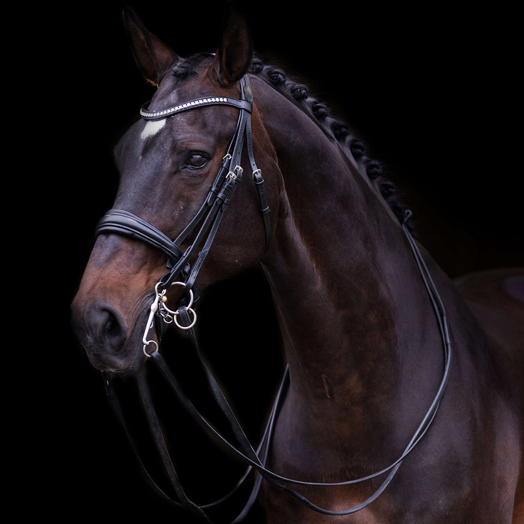Imperial Riding Kandarenzaum IRHFria Schwarz