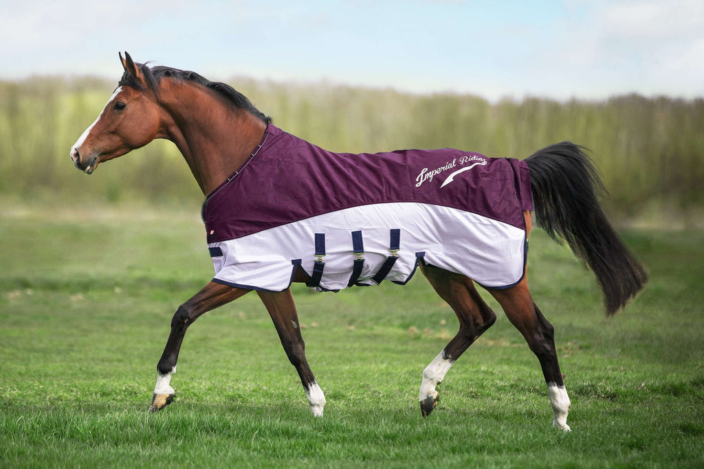 Imperial Riding Fliege und Regenschutzdecke IRHSuper-Dry Bordeaux