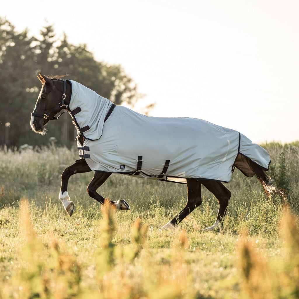 Imperial Riding Fliegendecke IRHReese Silber Grau