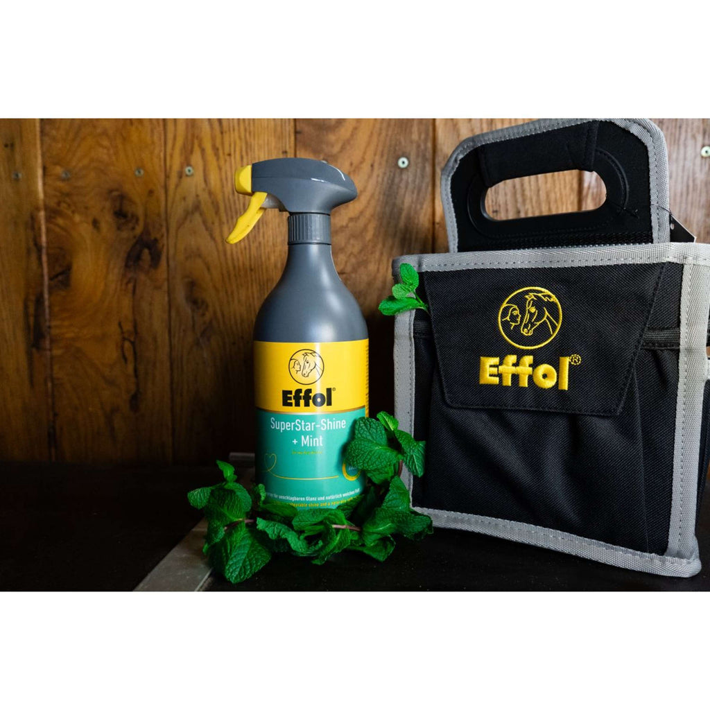 Effol Glanzspray SuperStar Mint