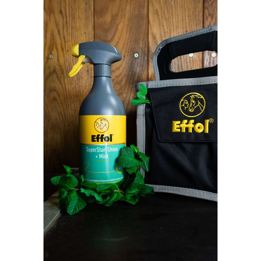 Effol Glanzspray SuperStar Mint