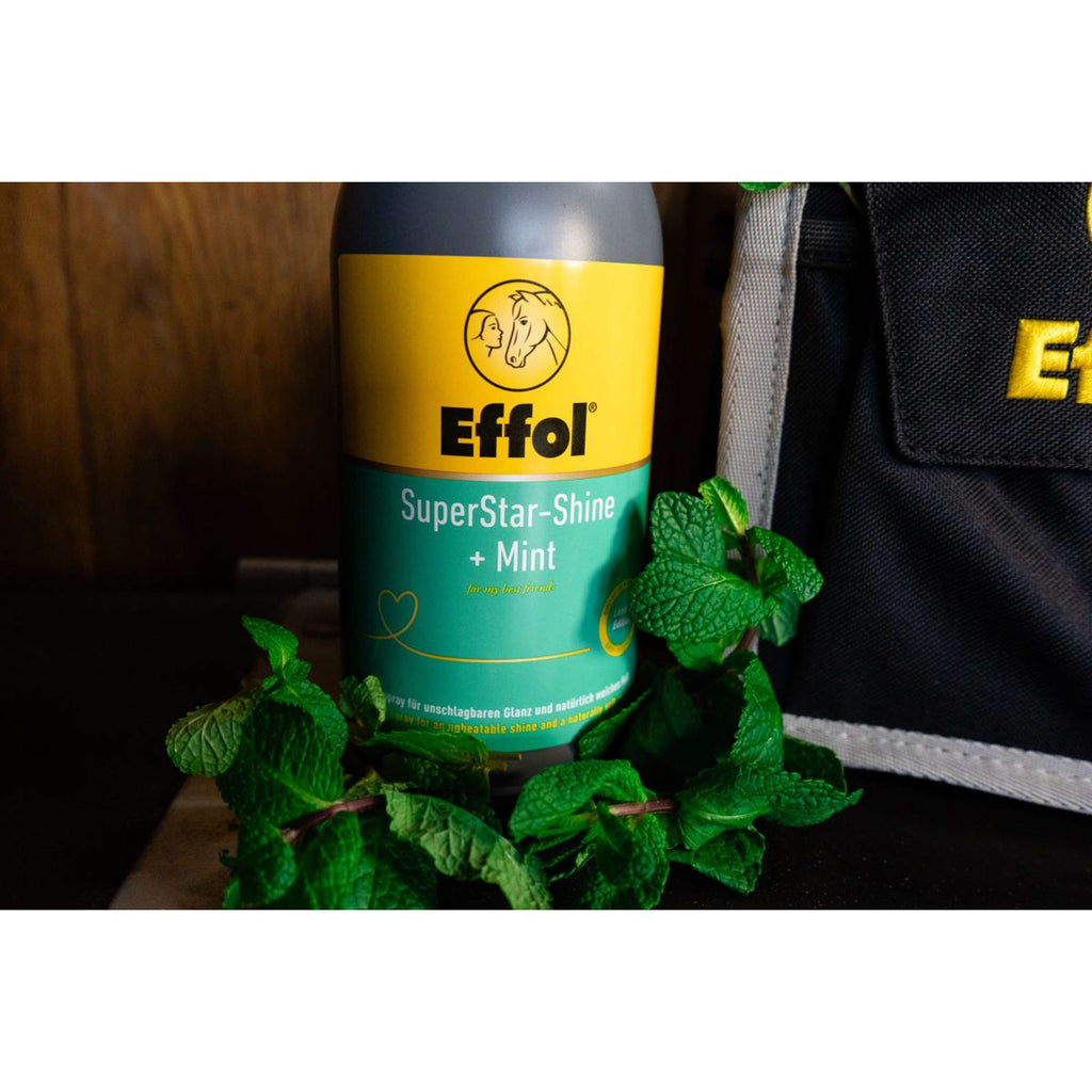 Effol Glanzspray SuperStar Mint