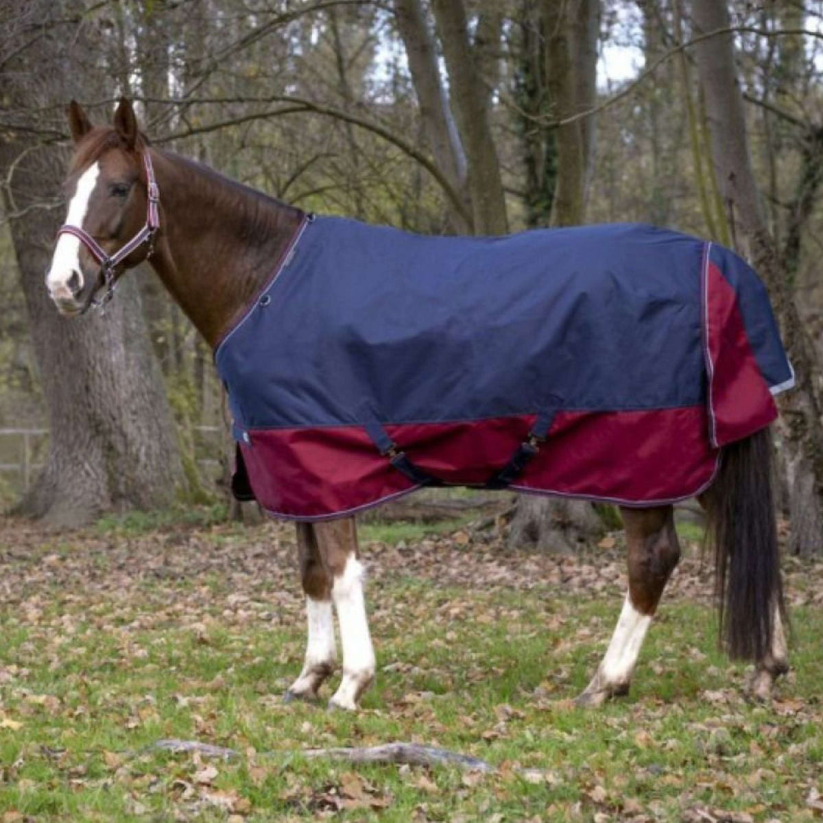 EQUITHÈME Outdoordecke Tyrex 1200D 0g Navy/Bordeaux